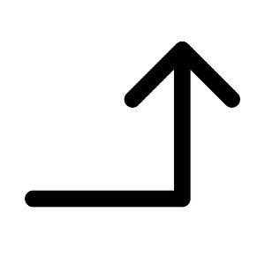 Selected Recognition arrow2